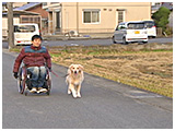 ガロ きょうのわんこ 写真5