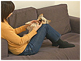 コロ きょうのわんこ 写真5