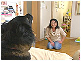 もも きょうのわんこ 写真4