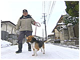 福助 きょうのわんこ 写真4