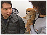 ピュア きょうのわんこ 写真4