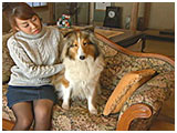 まろん きょうのわんこ 写真2
