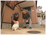 百花 きょうのわんこ 写真4