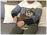 ルーク きょうのわんこ 写真2