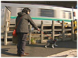 チャコ きょうのわんこ 写真4