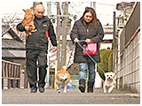 メリー きょうのわんこ 写真5