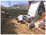 ハロッズ きょうのわんこ 写真3