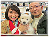 Ｋ きょうのわんこ 写真3