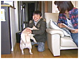 ハクト きょうのわんこ 写真4