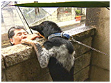 プー太 きょうのわんこ 写真5