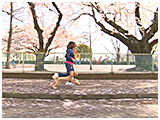 スクレ きょうのわんこ 写真4