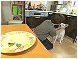 オリーブ きょうのわんこ 写真5