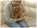 くぅ きょうのわんこ 写真2