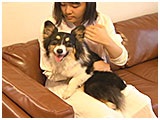 ルンルン きょうのわんこ 写真2