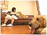 ルンルン きょうのわんこ 写真3