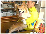 ルー きょうのわんこ 写真2