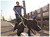 ろく きょうのわんこ 写真4