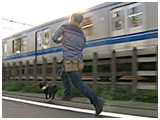 ろく きょうのわんこ 写真5