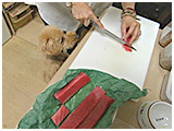 フク きょうのわんこ 写真4