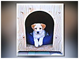 ダリ きょうのわんこ 写真3