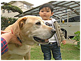 ダリ きょうのわんこ 写真4