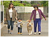 ダリ きょうのわんこ 写真5