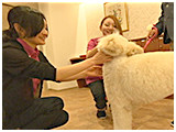 ウィズ きょうのわんこ 写真3