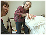 ウィズ きょうのわんこ 写真4