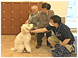 ウィズ きょうのわんこ 写真5