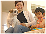 マル きょうのわんこ 写真2