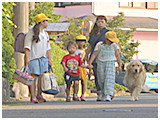ジョニー きょうのわんこ 写真4