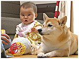 和 きょうのわんこ 写真3