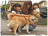チョコ きょうのわんこ 写真4