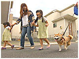 チョコ きょうのわんこ 写真5