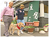 ローズ きょうのわんこ 写真3