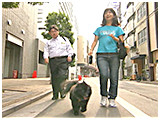 ココ きょうのわんこ 写真5