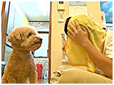 くりお きょうのわんこ 写真3