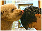 くりお きょうのわんこ 写真4