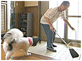 ラピ きょうのわんこ 写真3