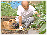 おいどん きょうのわんこ 写真5