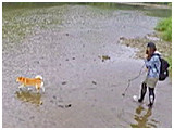 あんこ きょうのわんこ 写真3