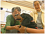 パン きょうのわんこ 写真4