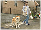 太郎 きょうのわんこ 写真3