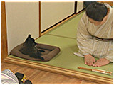 嵐太郎 きょうのわんこ 写真5
