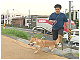 まるきち きょうのわんこ 写真3