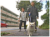 ニコ きょうのわんこ 写真4