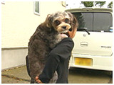 パリス きょうのわんこ 写真5