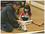 ハル きょうのわんこ 写真5