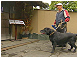 ダン きょうのわんこ 写真4