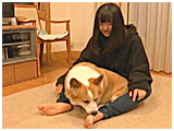 ベリー きょうのわんこ 写真4